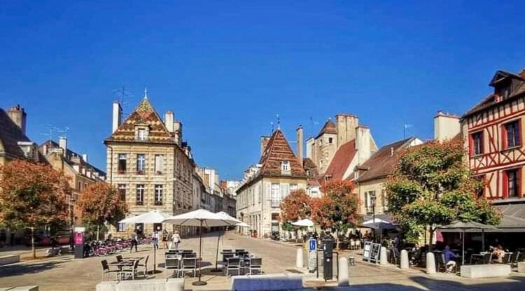 Ferienwohnung Le Pastore Avec Terrasse Dijon Exterior foto
