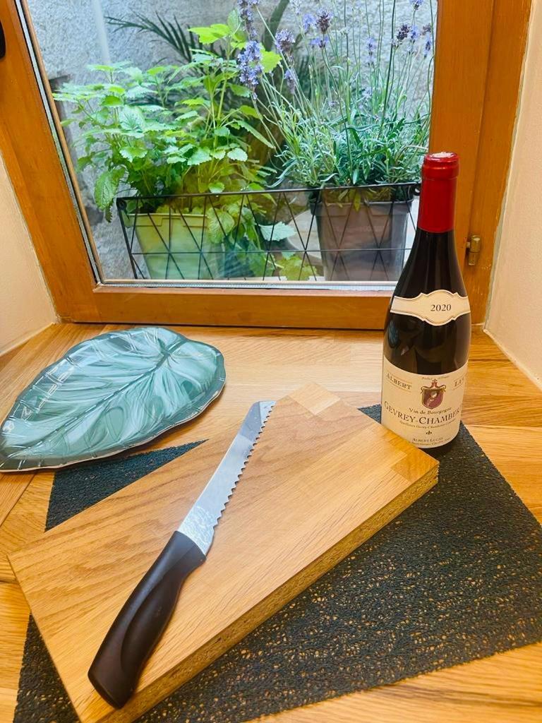 Ferienwohnung Le Pastore Avec Terrasse Dijon Exterior foto
